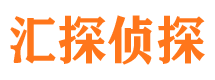 团城山市侦探